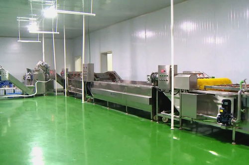 筑巢引凤添动力，招商引资促发展 谱写食用菌菌种进出口产业新篇章