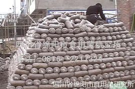 秀珍菇栽培技术全攻略 从菌种选育到进出口须知